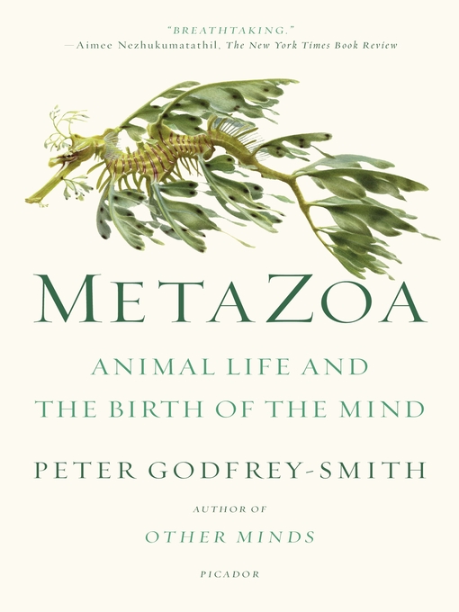 Title details for Metazoa by Peter Godfrey-Smith - Wait list